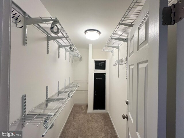 spacious closet with carpet