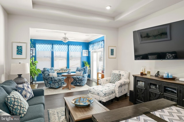 living room with ceiling fan, wood-type flooring, and a tray ceiling