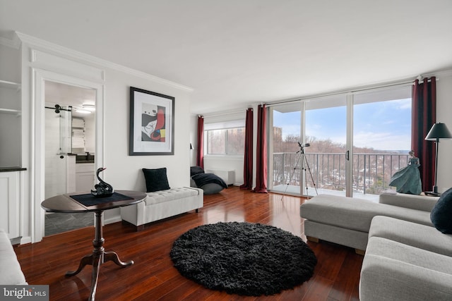 living room featuring dark hardwood / wood-style floors and ornamental molding