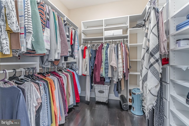 walk in closet with dark hardwood / wood-style floors