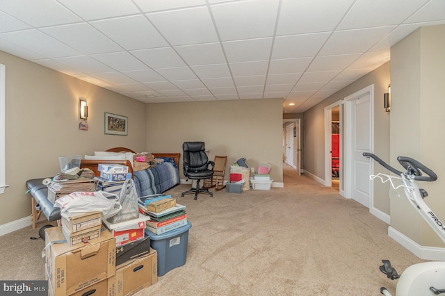 interior space featuring light carpet and a drop ceiling