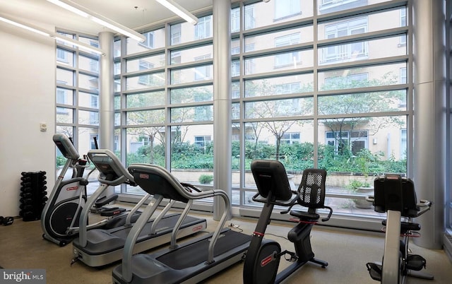 gym with floor to ceiling windows and a wealth of natural light