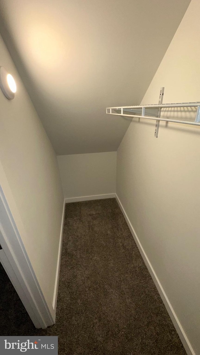 walk in closet featuring lofted ceiling and carpet flooring