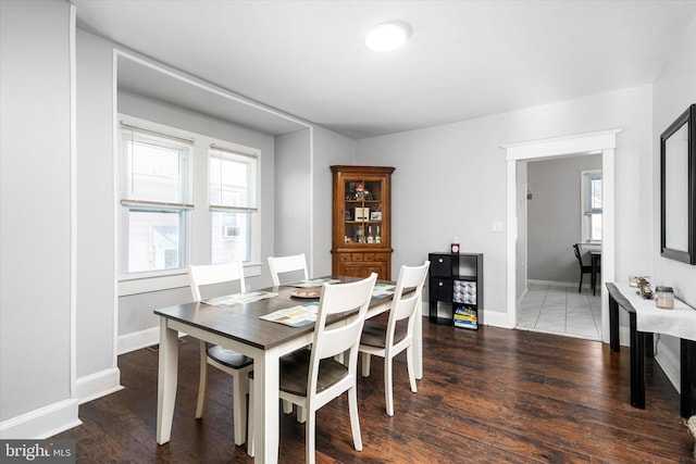 dining room with wood-type flooring