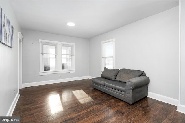 living area featuring dark wood-type flooring