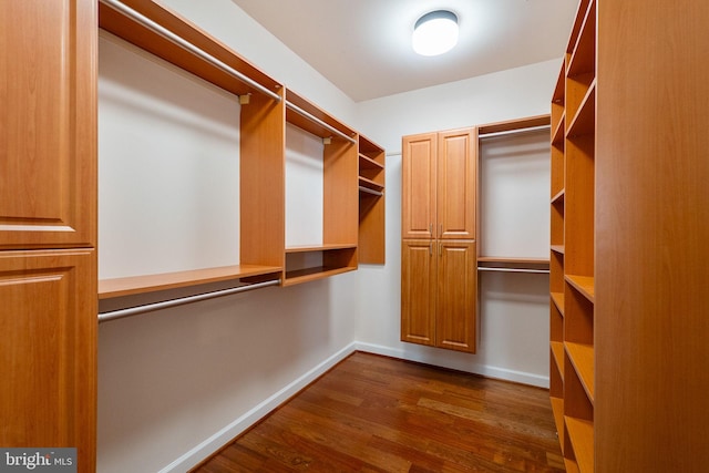 spacious closet with dark hardwood / wood-style floors