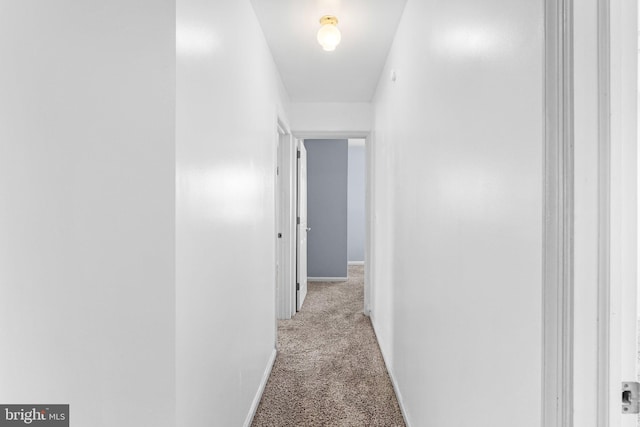 hallway featuring light colored carpet