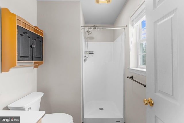 bathroom with vanity, toilet, and a shower