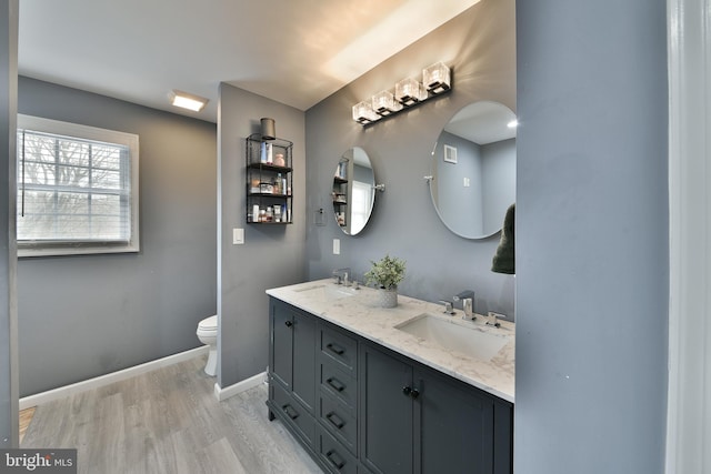 bathroom with vanity, wood-type flooring, and toilet