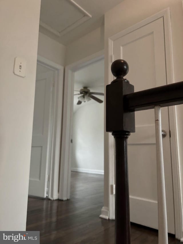 hall featuring dark hardwood / wood-style flooring