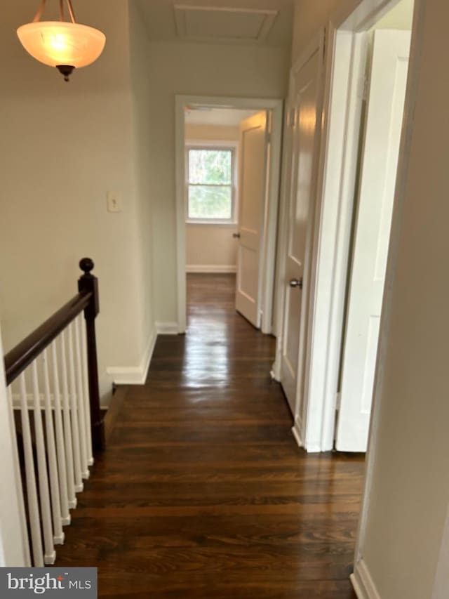 hall with dark hardwood / wood-style flooring