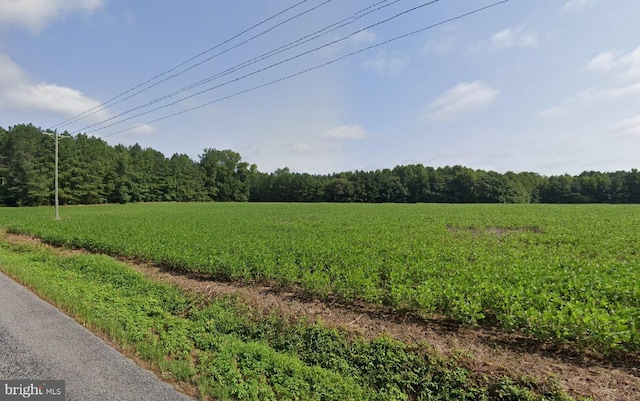 0 Carlsey Rd, Waverly VA, 23890 land for sale