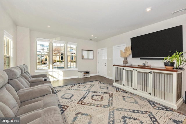 living room featuring wood-type flooring