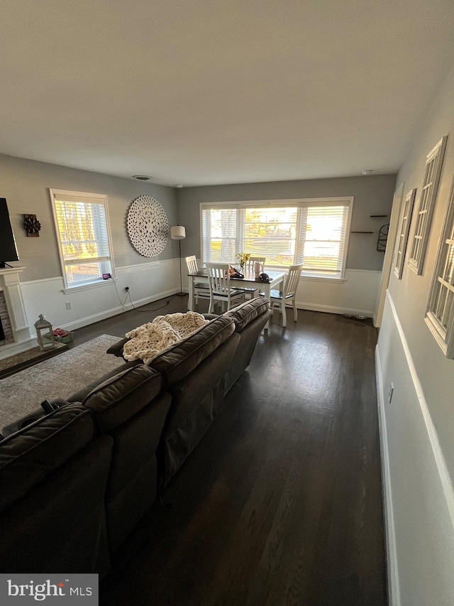 living room featuring dark wood-type flooring