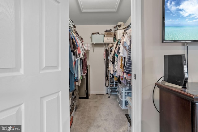 spacious closet with light carpet