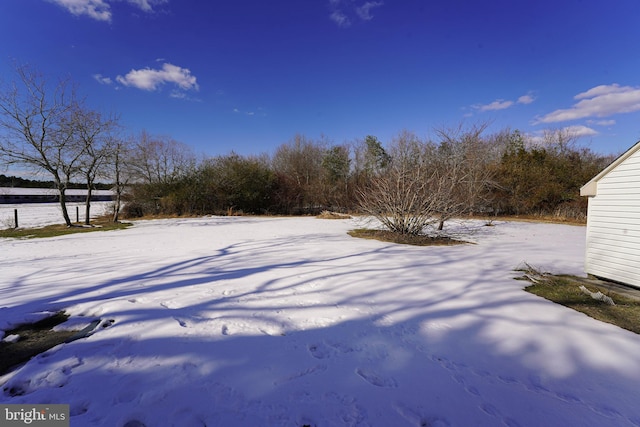 view of yard layered in snow