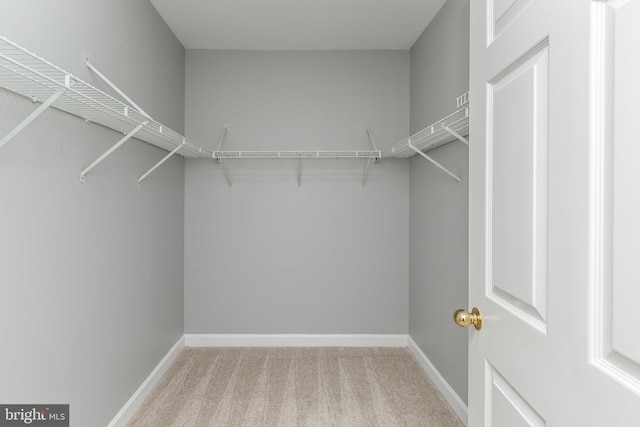 spacious closet with carpet flooring