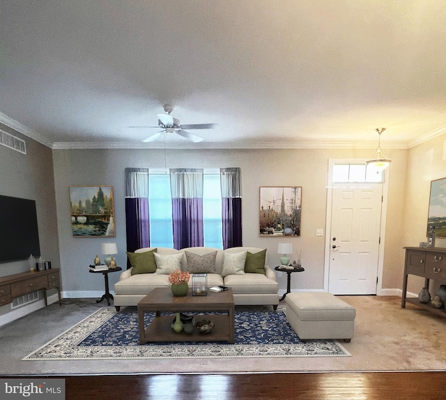 living room with crown molding, hardwood / wood-style floors, ceiling fan, and a textured ceiling