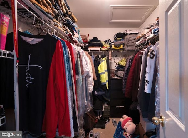 view of spacious closet