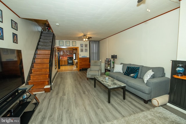 living room featuring ceiling fan, crown molding, and light hardwood / wood-style flooring