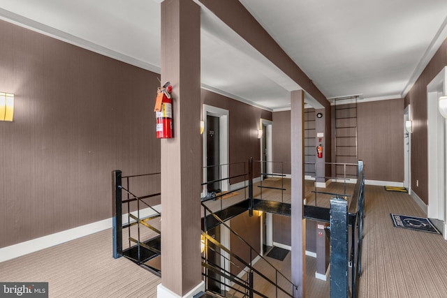 hallway with carpet floors and crown molding