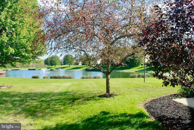 view of yard with a water view