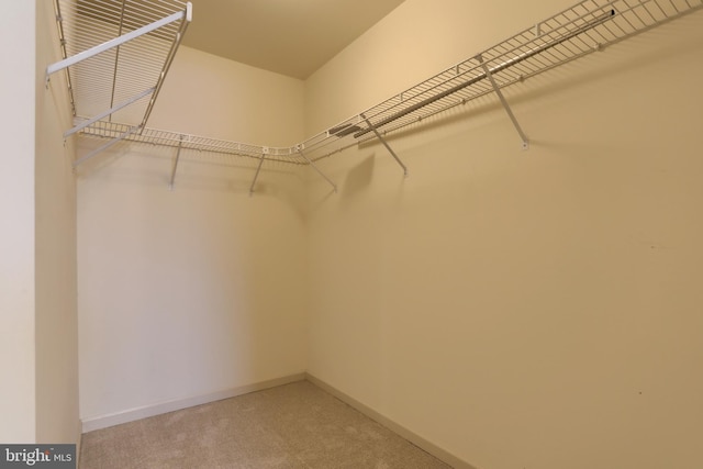 spacious closet with carpet