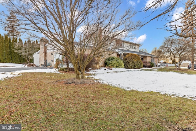 view of yard covered in snow