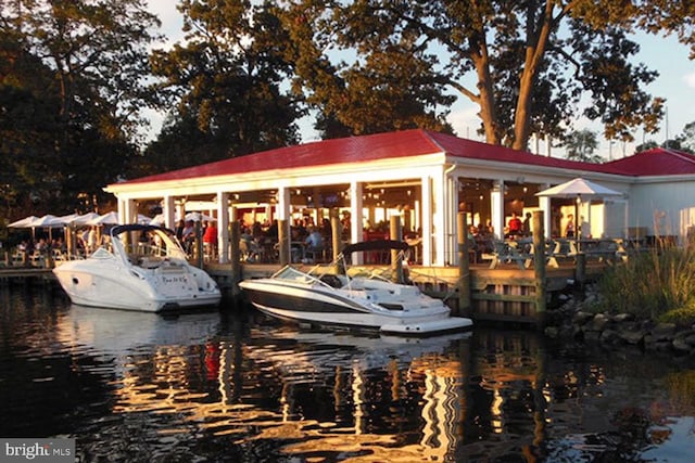 dock area with a water view