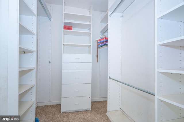 spacious closet with light carpet