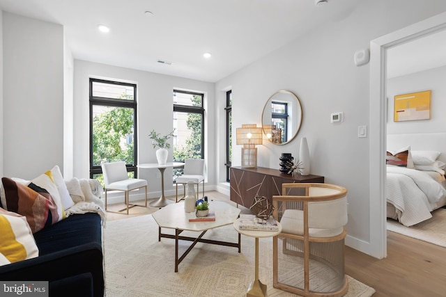 living room with light wood-type flooring