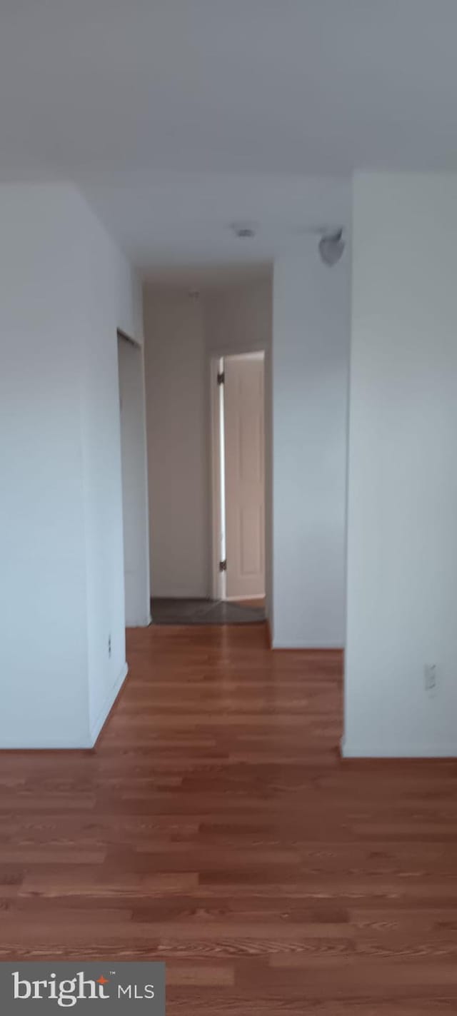 hallway featuring dark hardwood / wood-style flooring