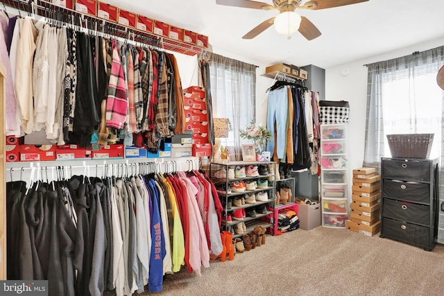 spacious closet with ceiling fan and carpet flooring