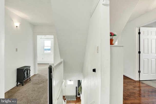 staircase featuring carpet floors