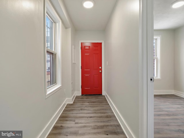 doorway to outside with a healthy amount of sunlight and hardwood / wood-style flooring