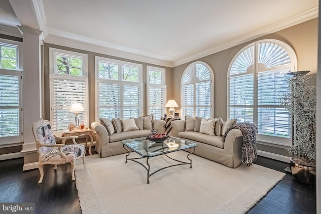 living room featuring crown molding and dark hardwood / wood-style floors