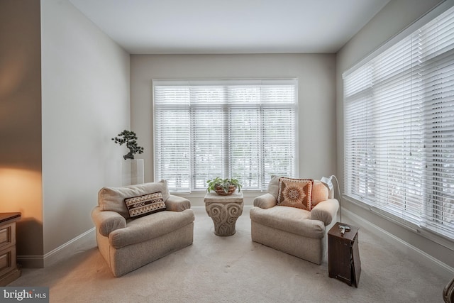 living area featuring carpet