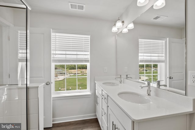 bathroom with vanity and hardwood / wood-style flooring