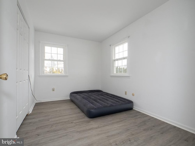 bedroom featuring wood-type flooring and multiple windows