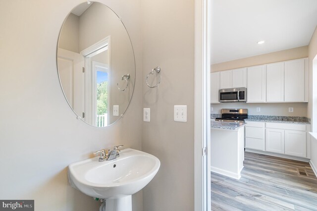 bathroom with wood-type flooring and sink