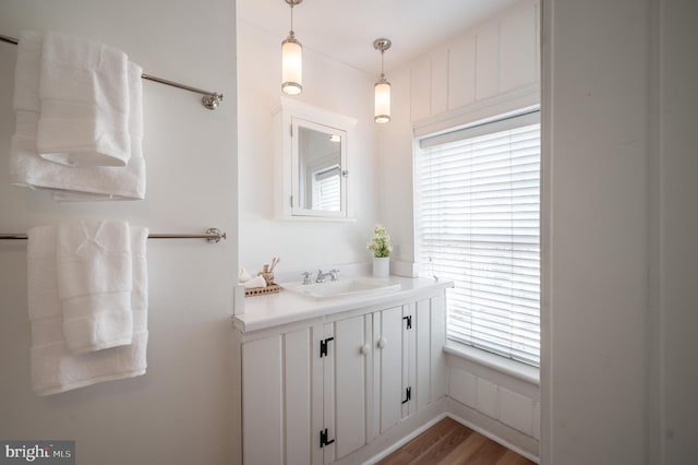 bathroom featuring wood finished floors, vanity, and a wealth of natural light