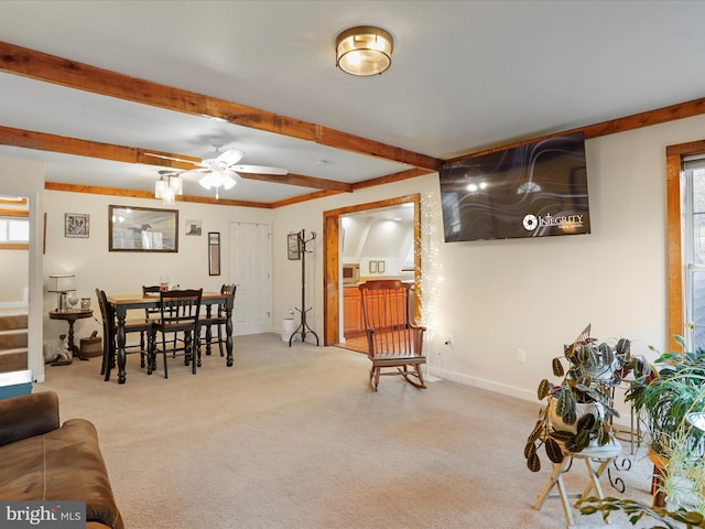 carpeted living room with ceiling fan, plenty of natural light, and beam ceiling