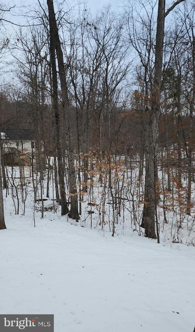 view of yard covered in snow