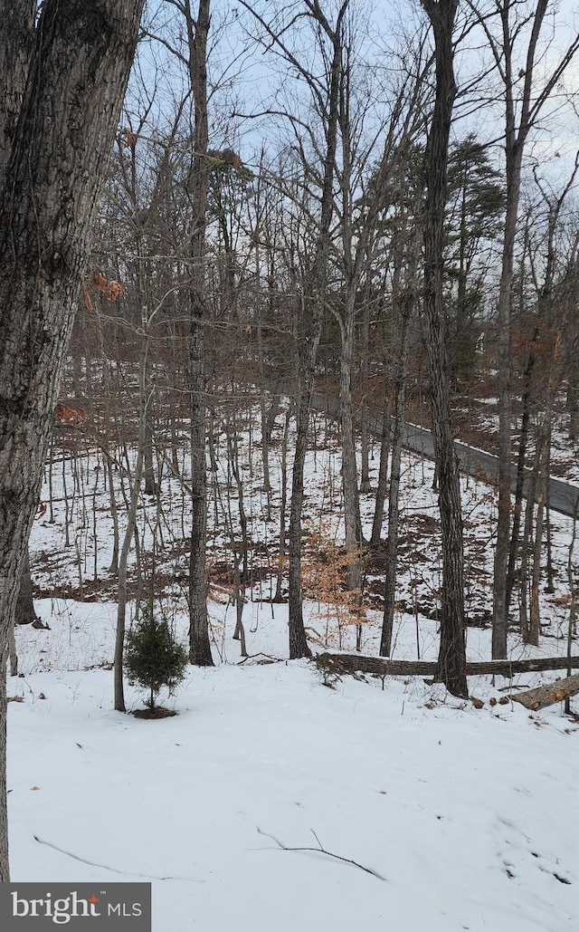 view of yard layered in snow