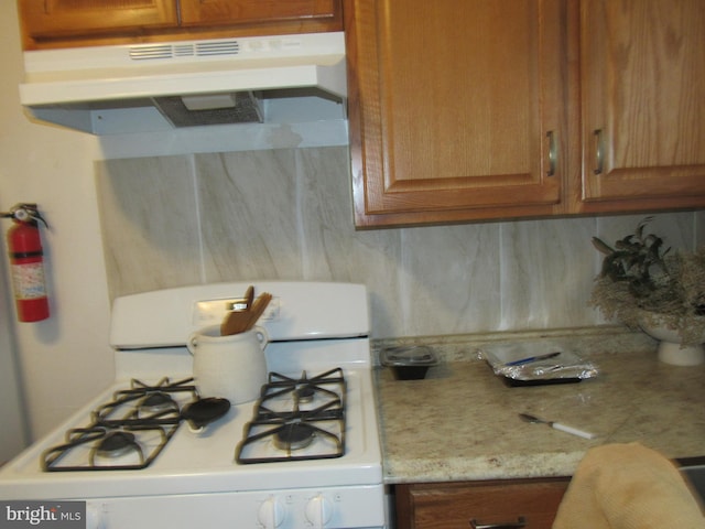 kitchen featuring tasteful backsplash and gas range gas stove