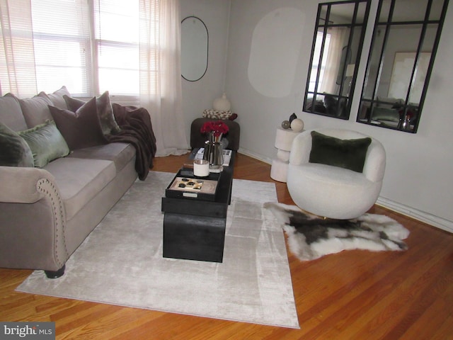 living room featuring wood-type flooring