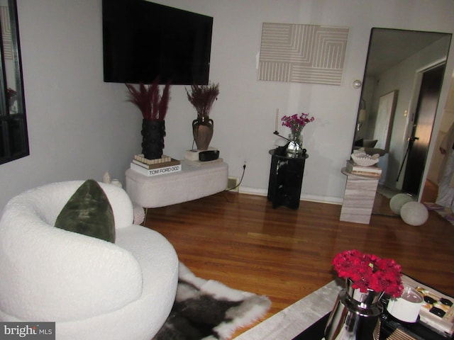 sitting room featuring wood-type flooring