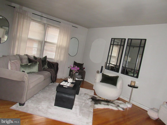 living room featuring hardwood / wood-style flooring