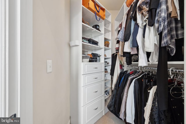 view of spacious closet