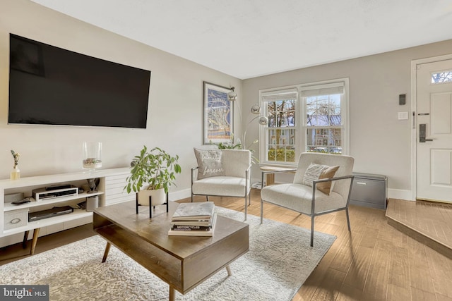 living room featuring hardwood / wood-style floors